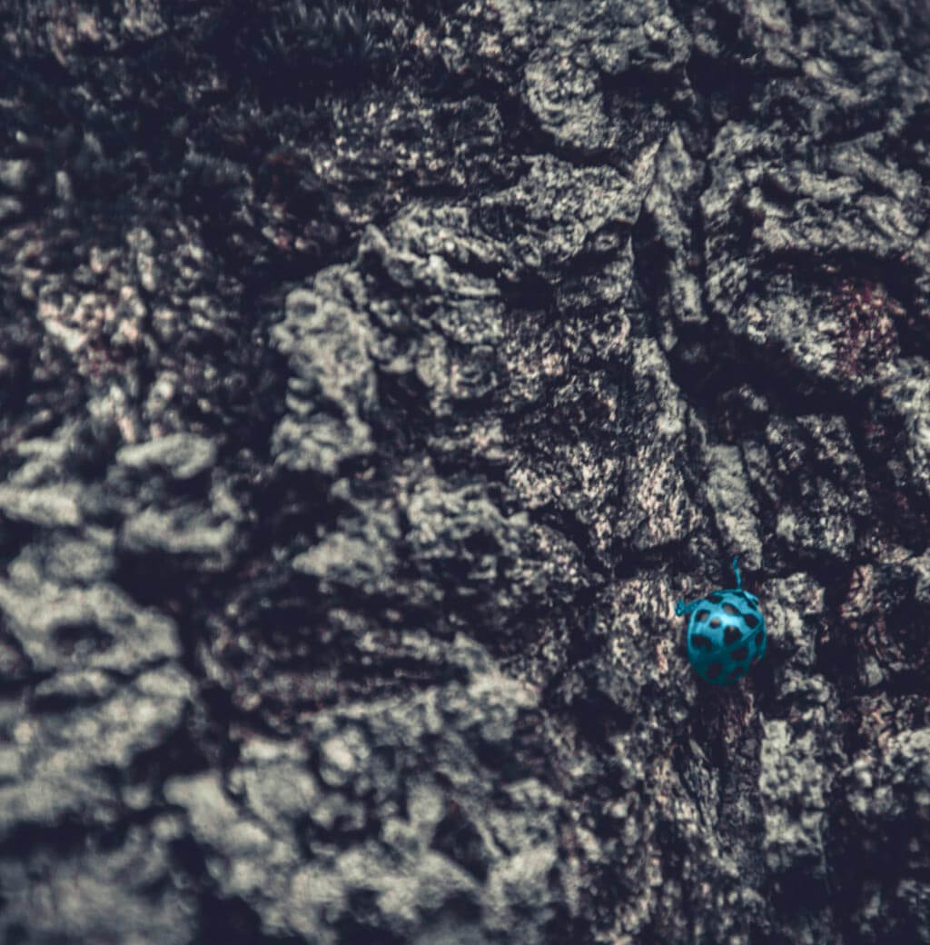 Creativity – Bluejohn Marketing