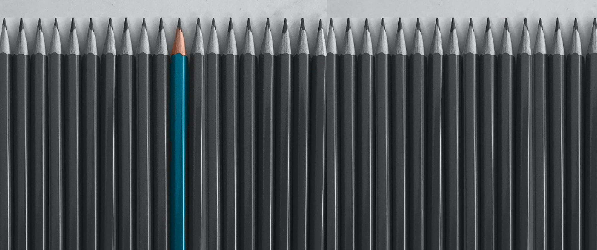 Websites & Words - Bluejohn Marketing